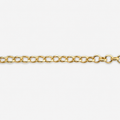 Gold chain on a white background