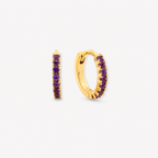Amethyst Round Cut Earrings - 9ct Yellow Gold