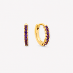 Amethyst Round Cut Earrings - 9ct Yellow Gold